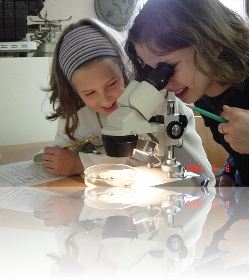 Laboratorium over de bodemdiertjes 