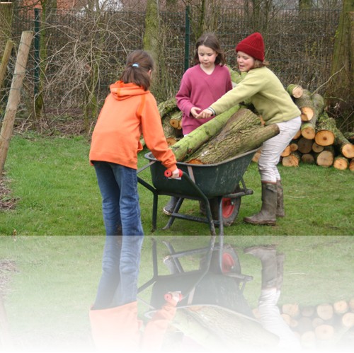 Onderhoud en beheer van het domein