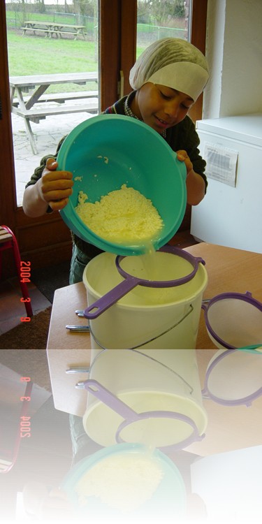 Kaas maken